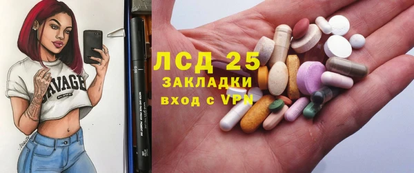 шишки Гусиноозёрск