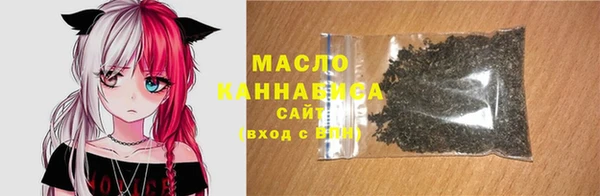шишки Гусиноозёрск