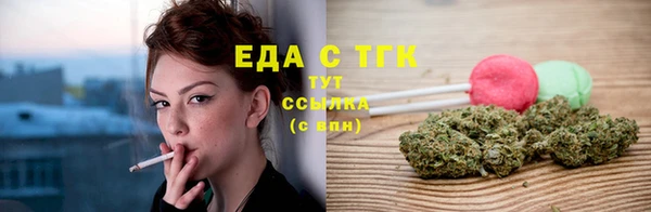 шишки Гусиноозёрск
