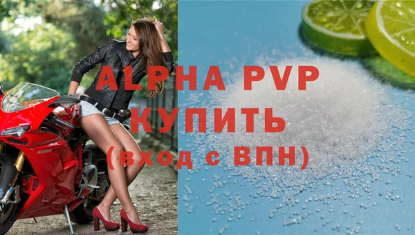 шишки Гусиноозёрск