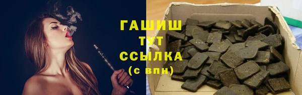 шишки Гусиноозёрск