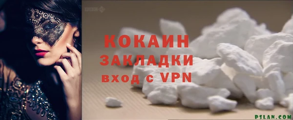 шишки Гусиноозёрск