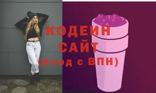 шишки Гусиноозёрск