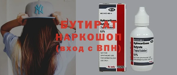 шишки Гусиноозёрск