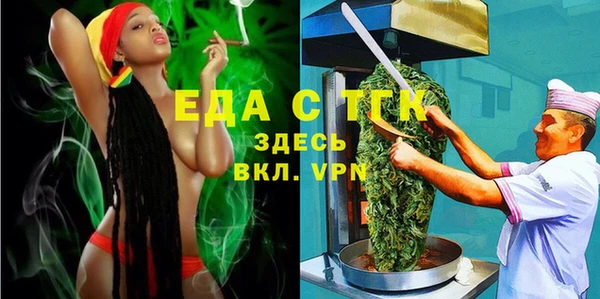 шишки Гусиноозёрск