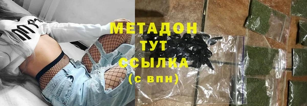 шишки Гусиноозёрск