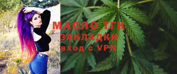 шишки Гусиноозёрск