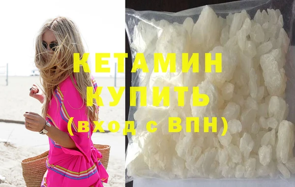 шишки Гусиноозёрск