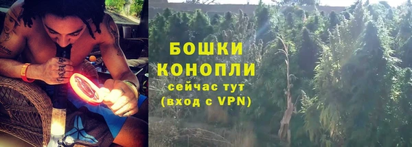 прущая мука Гусев