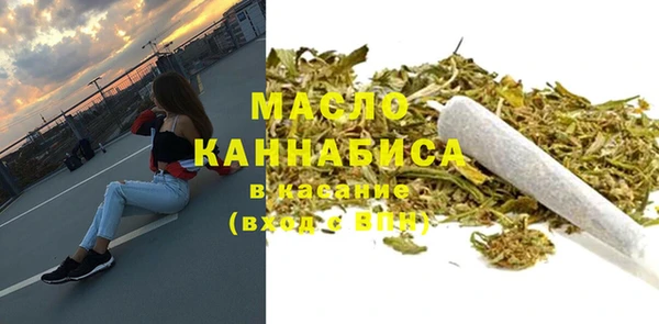 шишки Гусиноозёрск