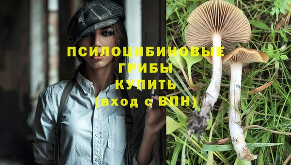 шишки Гусиноозёрск