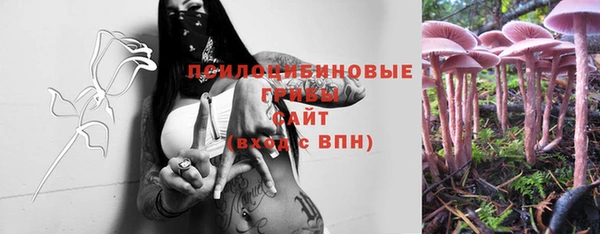 шишки Гусиноозёрск