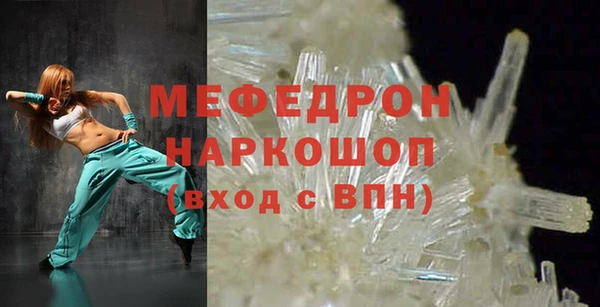 шишки Гусиноозёрск